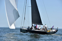 2019 Vineyard Race A_2806