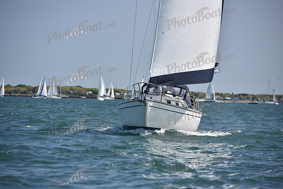 2019 Figawi_0043