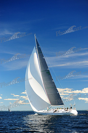 2014 Vineyard Race A 1993