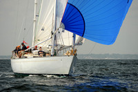 2013 Vineyard Race A 992
