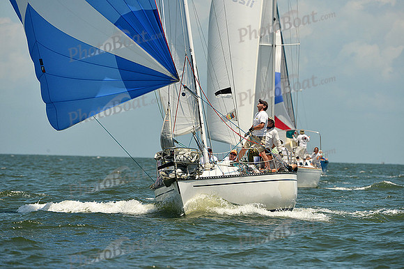 2015 Southern Bay Race Week C 1514