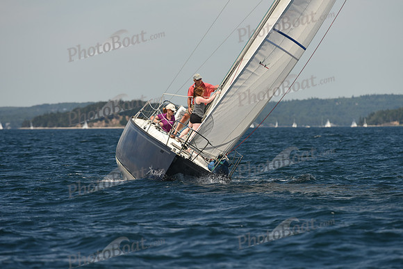 2016 Chester Race Week A_0537