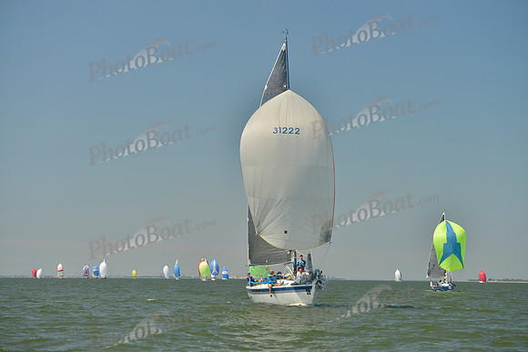 2017 Southern Bay Race Week B_0537