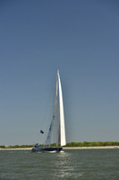 2017 Charleston Race Week A_0011