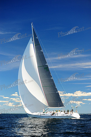 2014 Vineyard Race A 1991