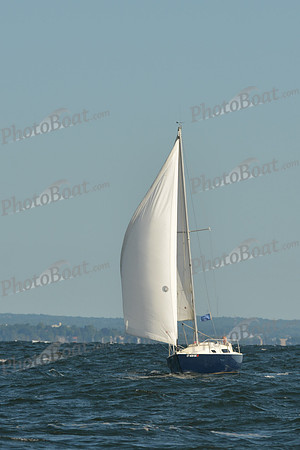 2015 Vineyard Race C 108