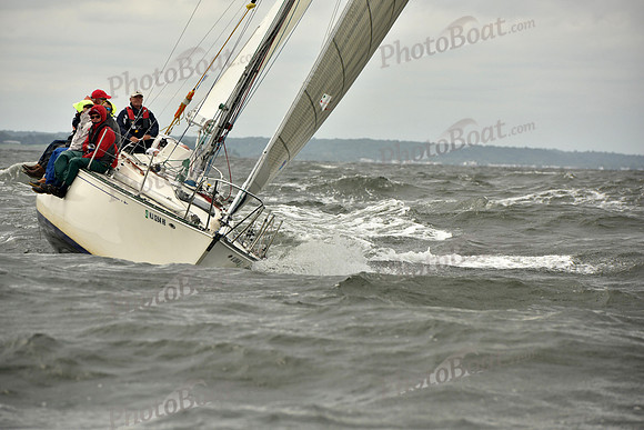 2018 Vineyard Race A_0775