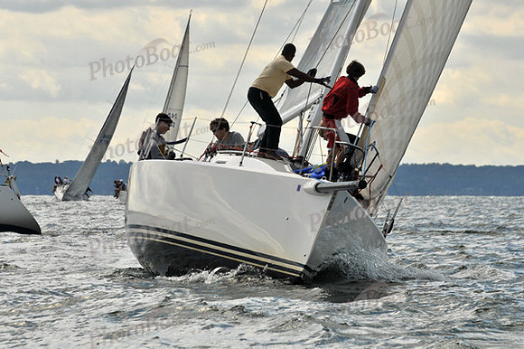 2010 IRC LIS 559