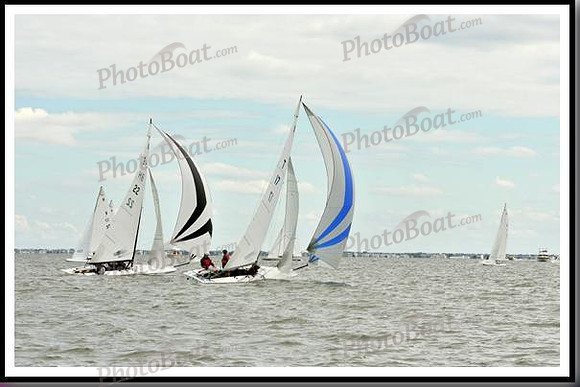 proof_2010_EScows_A 686