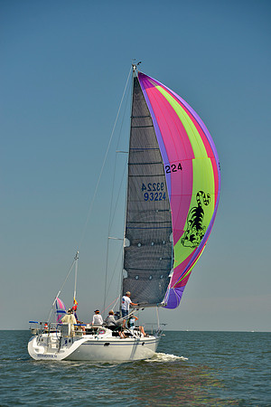 2017 Southern Bay Race Week B_0532