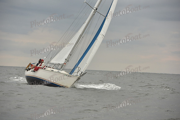 2018 Vineyard Race A_3207
