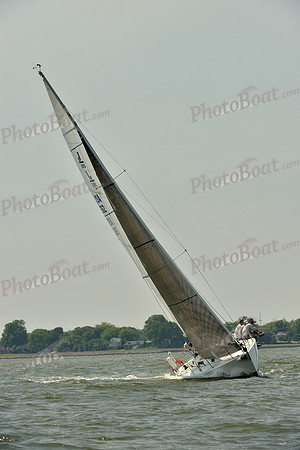 2016 Southern Bay Race Week B_0336