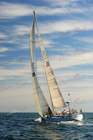 2014 Newport Bermuda A 1273