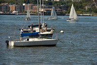 2016 NY Architects Regatta_0005