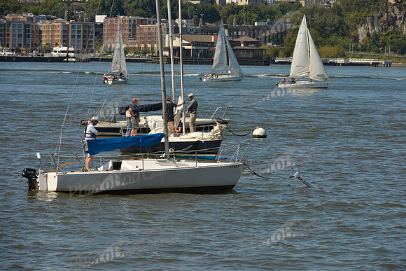 2016 NY Architects Regatta_0005