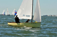 2012 Thistle Midwinters A 353