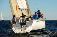 2014 Vineyard Race A 290
