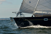 2015 Vineyard Race C 202