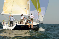 2012 Vineyard Race A 886