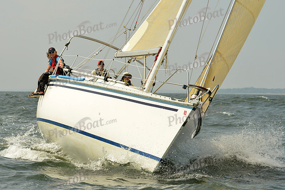 2015 Vineyard Race A 330