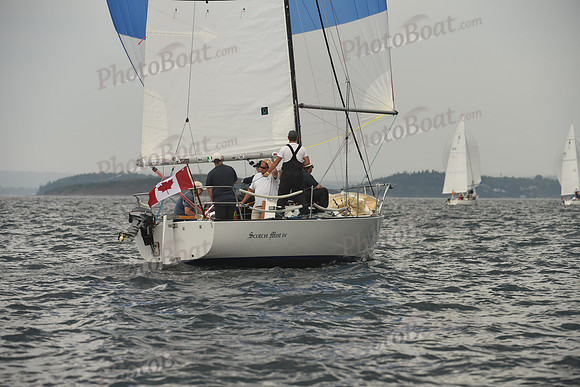 2016 Chester Race Week D_0770