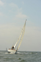 2015 Vineyard Race A 301