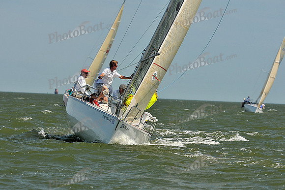 2013 Southern Bay Race Week D 450