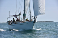 2019 Figawi_0497