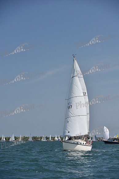 2019 Figawi_0197