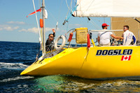 2014 Newport Bermuda A 1316