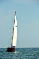 2015 Southern Bay Race Week F 699