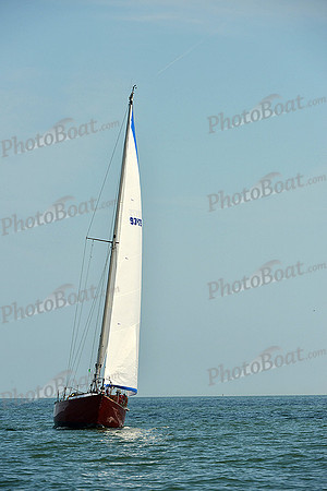 2015 Southern Bay Race Week F 699