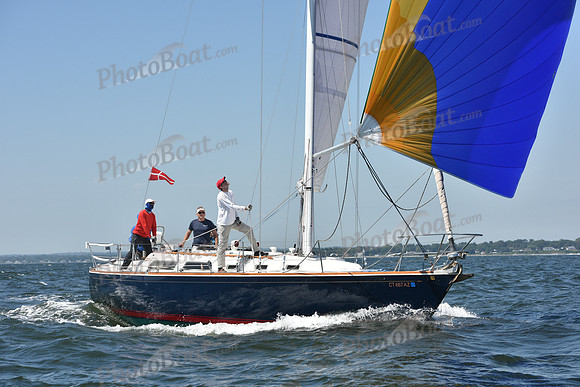 2019 Vineyard Race A_0988