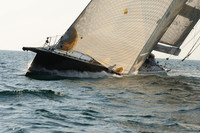 2010_NptBmda_2266