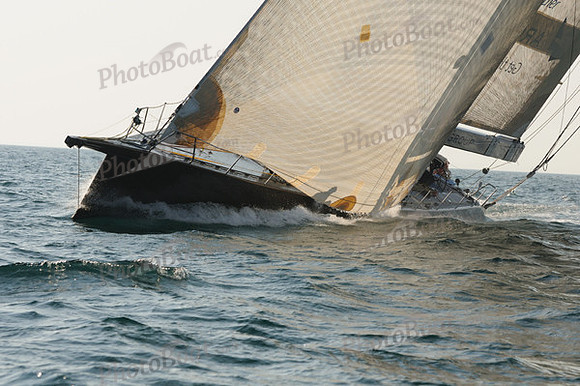 2010_NptBmda_2266
