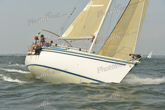 2015 Vineyard Race A 331