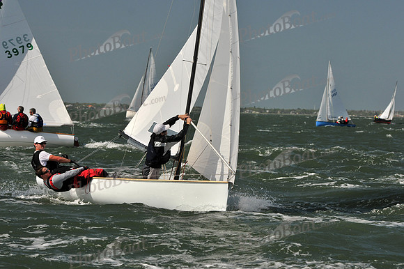 2012 Thistle Midwinters B 577