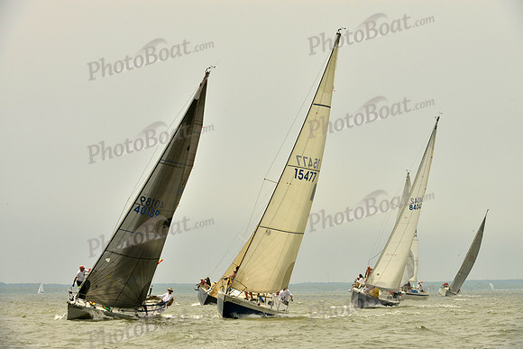 2016 Southern Bay Race Week A_1067