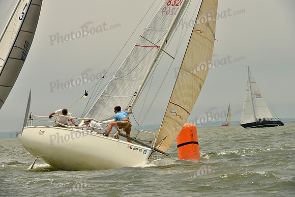 2016 Southern Bay Race Week A_0995
