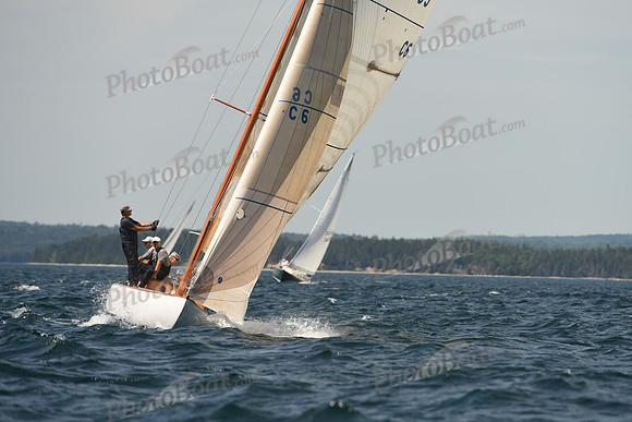 2016 Chester Race Week A_0851