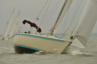 2016 Southern Bay Race Week A_1146