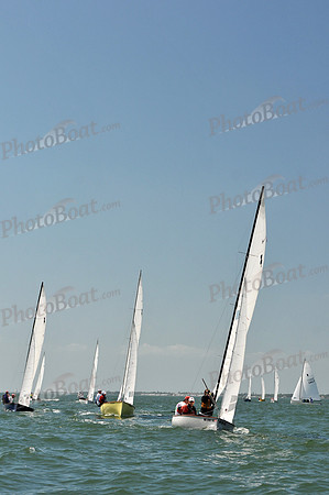 2012 Thistle Midwinters C 585