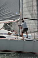 2010 IRC LIS 450
