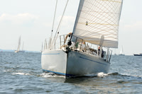 2011 Vineyard Race A 312