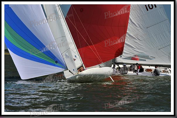 proof_2010_EScows_D 379