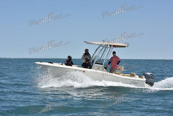 2019 Figawi_1727