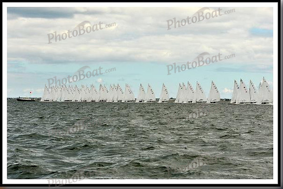 proof_2010_EScows_B 020