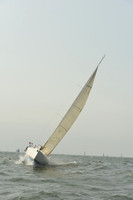 2015 Vineyard Race A 426