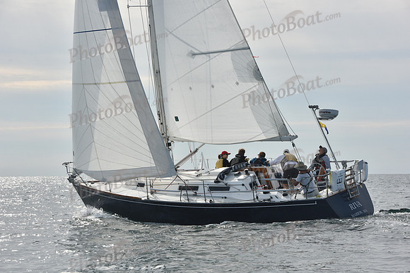 2019 Around Marthas Vineyard A_0685