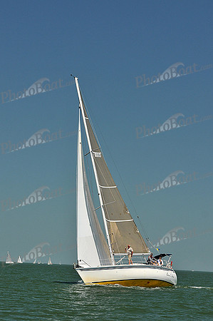 2013 Southern Bay Race Week C 1876